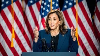 Trump and allies attack Kamala Harris based on race, gender: 'Dumb' and a 'DEI' candidate