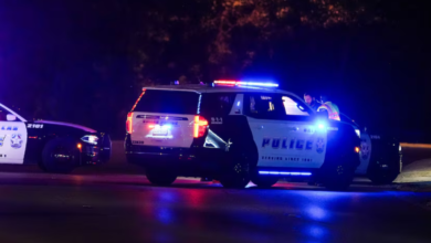 Dallas police officer killed, 2 others wounded in shooting